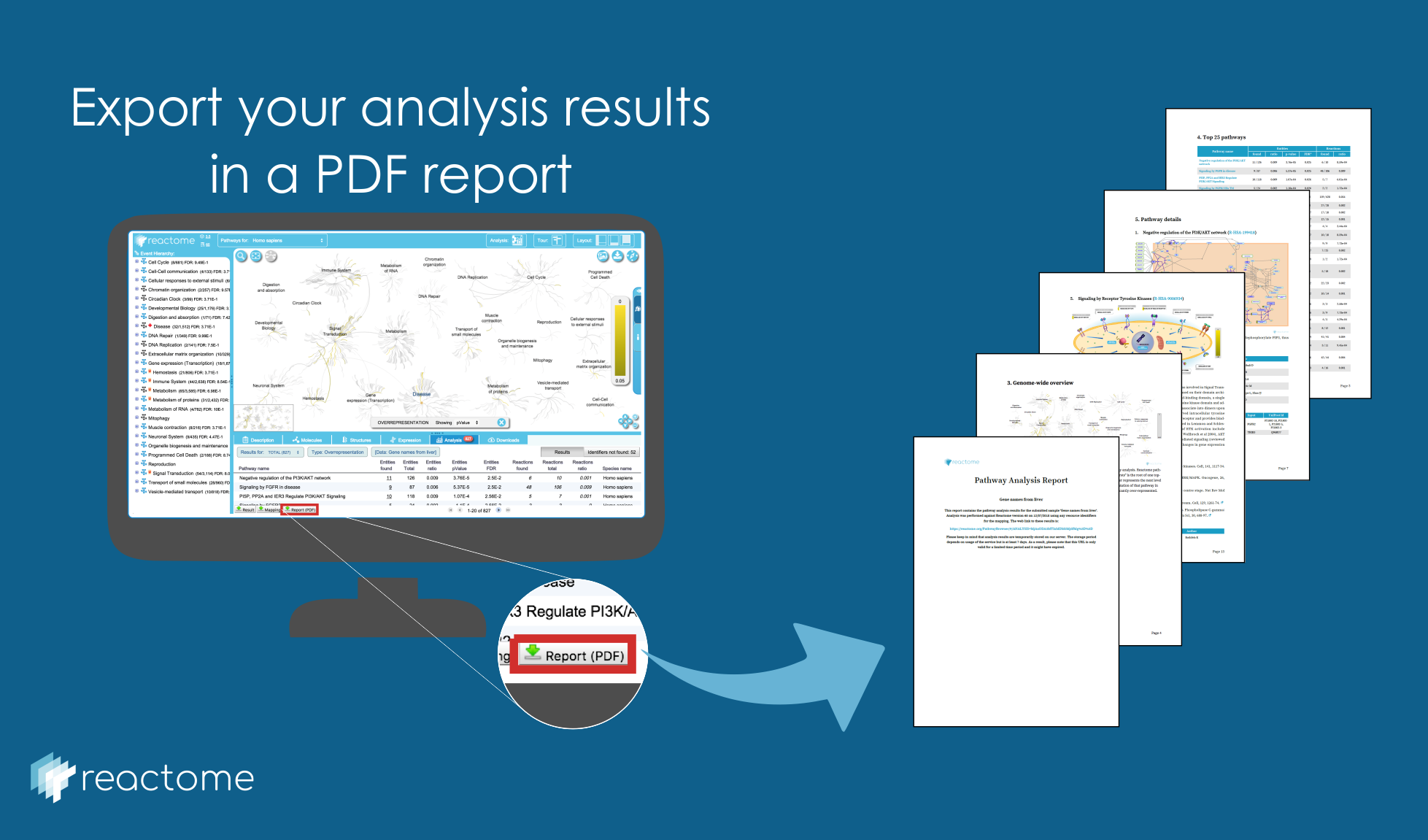 分析报告PDF