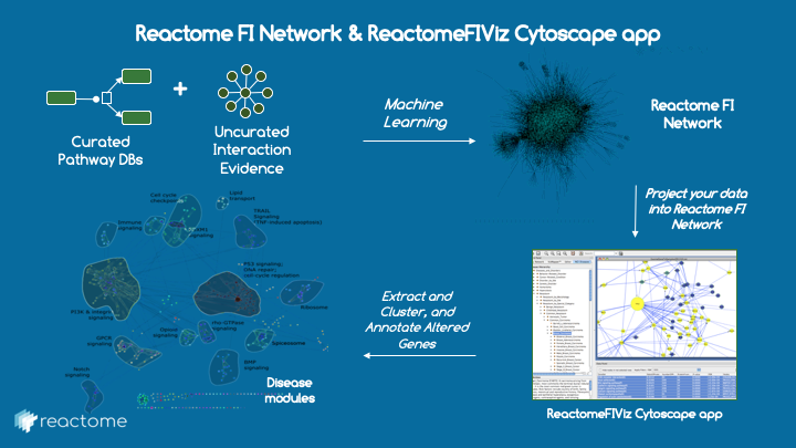 ReactomeFI 2018