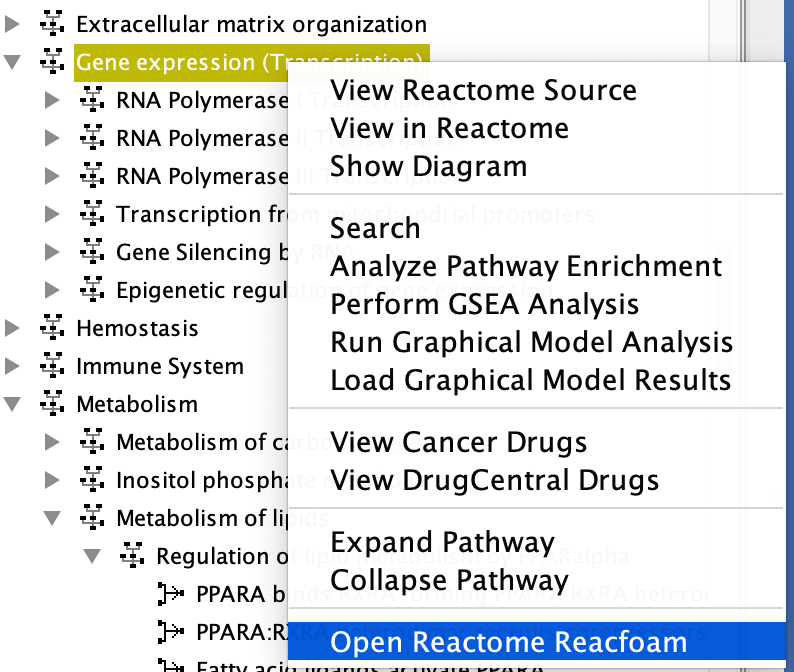 打开Reactome Reacfoam