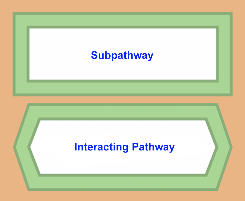 subpathways互动